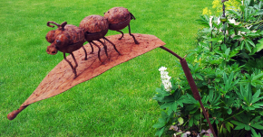 Gartenimpressionen Marohn & Binder Gartengestaltung 